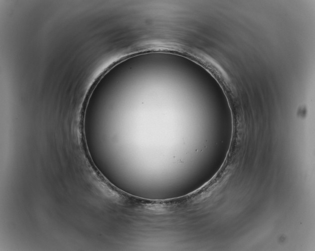 X0000100371182200806061148