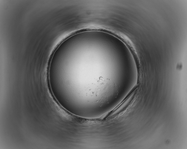 X0000100371183200806061148