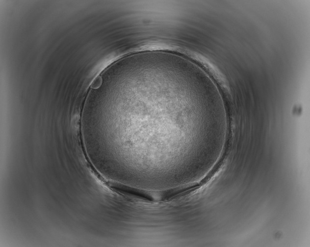 X0000100371185200806061148