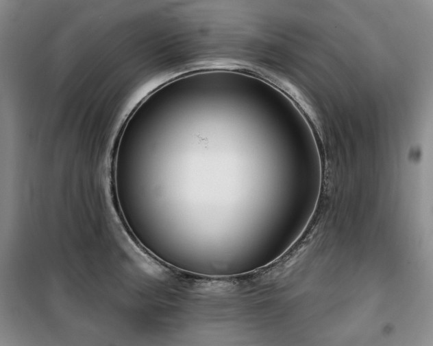 X0000100371187200806061148