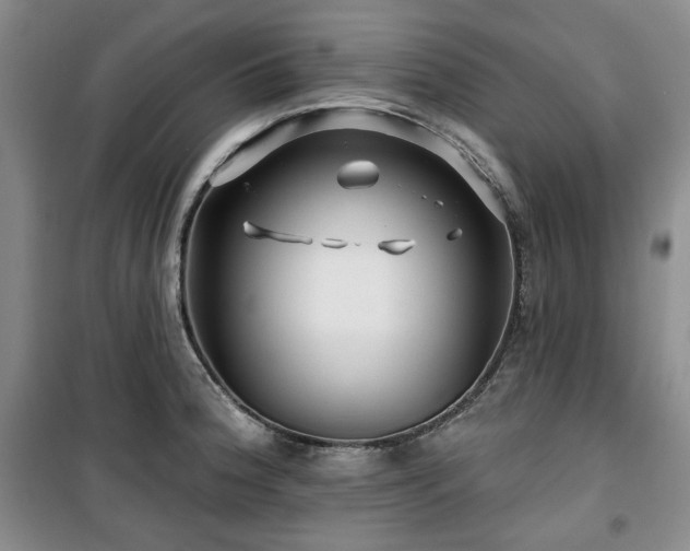 X0000100371188200806061148