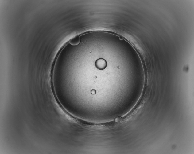 X0000100371189200806061148