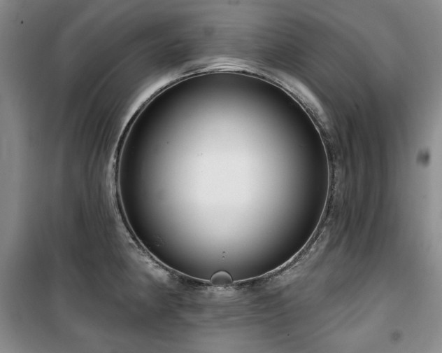 X0000100371190200806061148