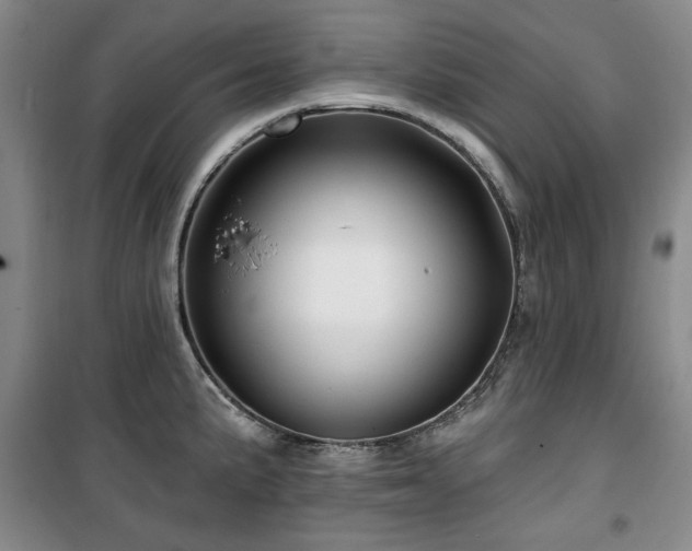 X0000100371191200806061148