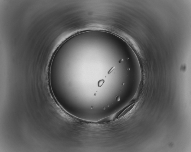 X0000100371192200806061148