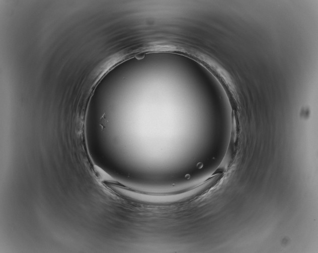 X0000100371193200806061148