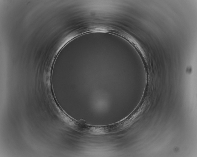 X0000100371194200806061148
