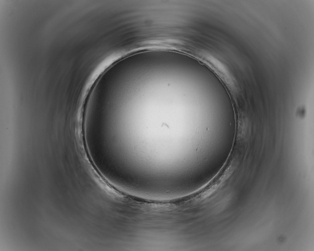 X0000100371196200806061148