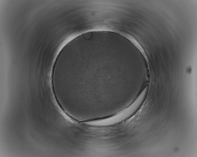 X0000100371197200806061148