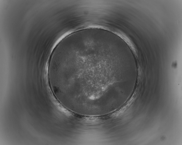 X0000100371198200806061148