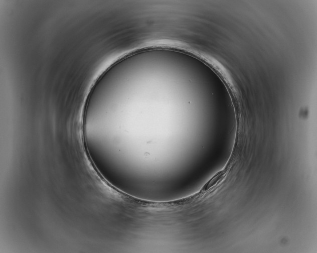 X0000100371199200806061148