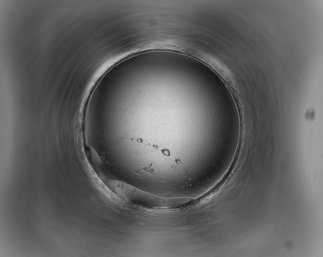 X0000100371200200806061148