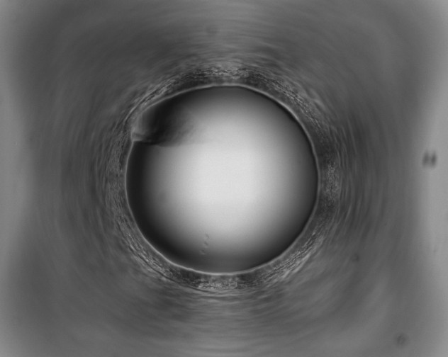X0000100371201200806061148