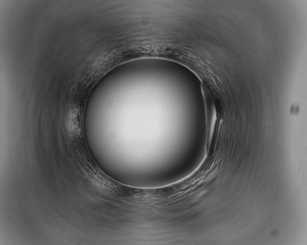X0000100371202200806061148