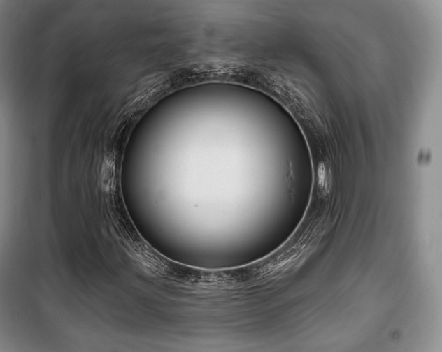 X0000100371203200806061148