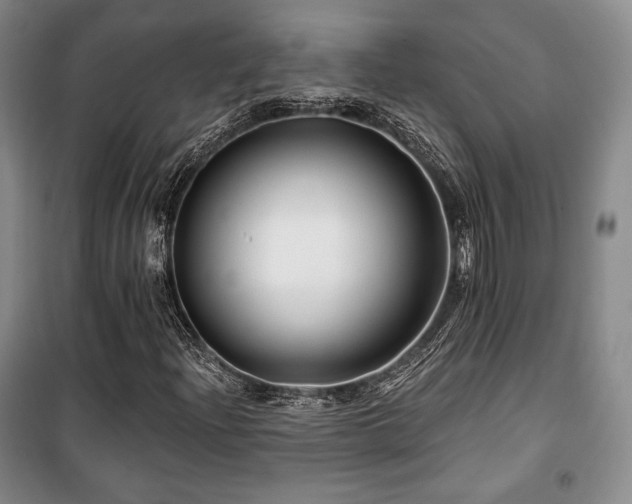 X0000100371204200806061148