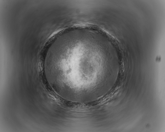 X0000100371206200806061148