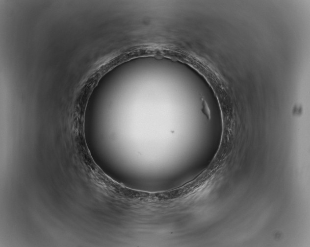 X0000100371207200806061148