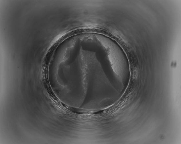 X0000100371208200806061148