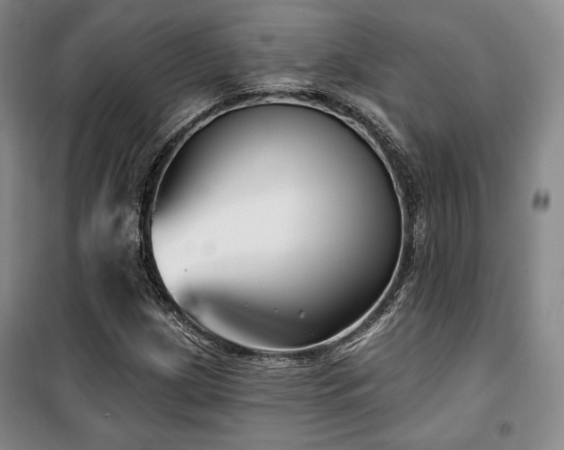 X0000100371209200806061148