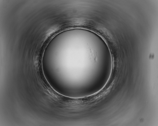 X0000100371210200806061148