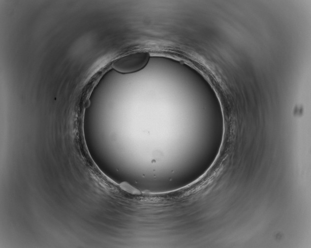 X0000100371211200806061148