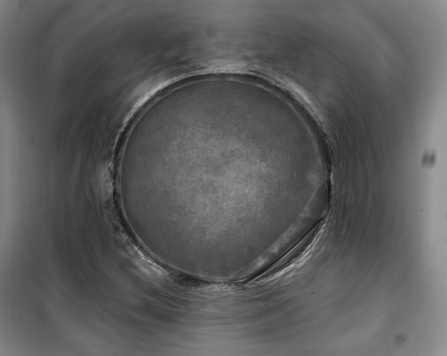 X0000100371212200806061148