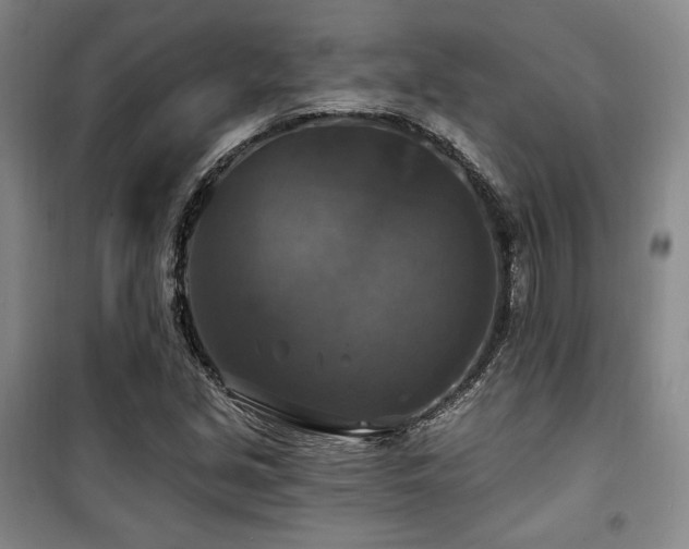 X0000100371213200806061148