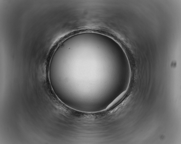 X0000100371214200806061148