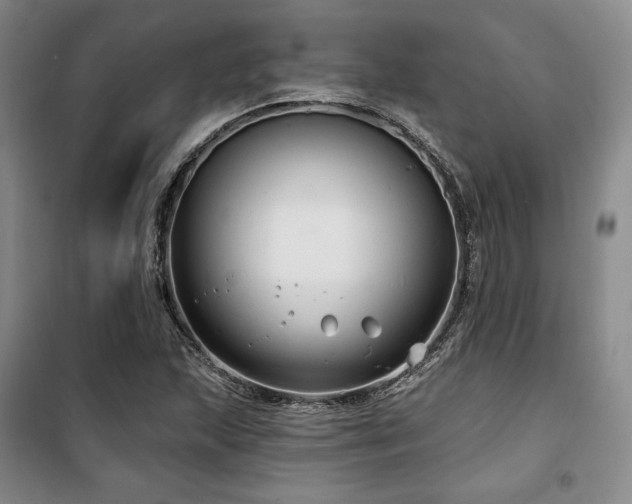 X0000100371215200806061148