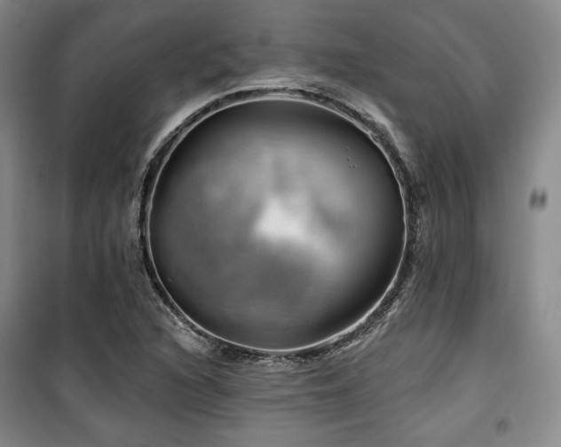 X0000100371216200806061148