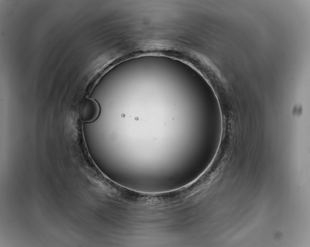 X0000100371217200806061148