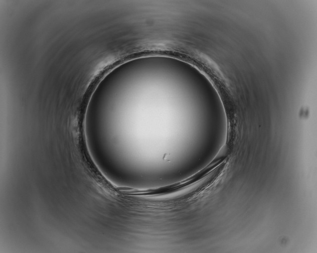 X0000100371218200806061148