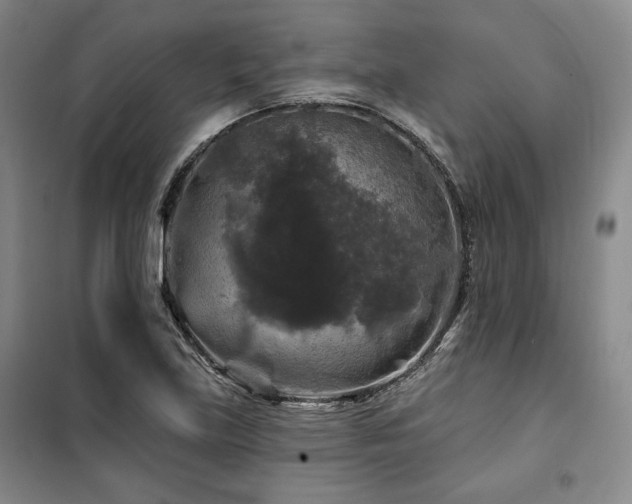 X0000100371219200806061148