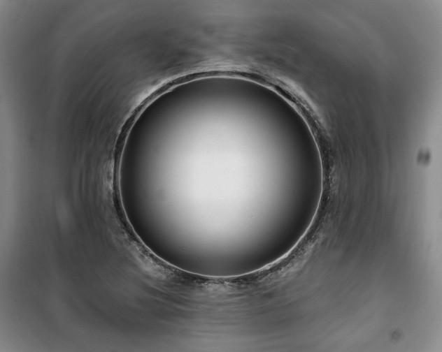 X0000100371220200806061148