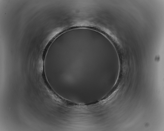 X0000100371221200806061148