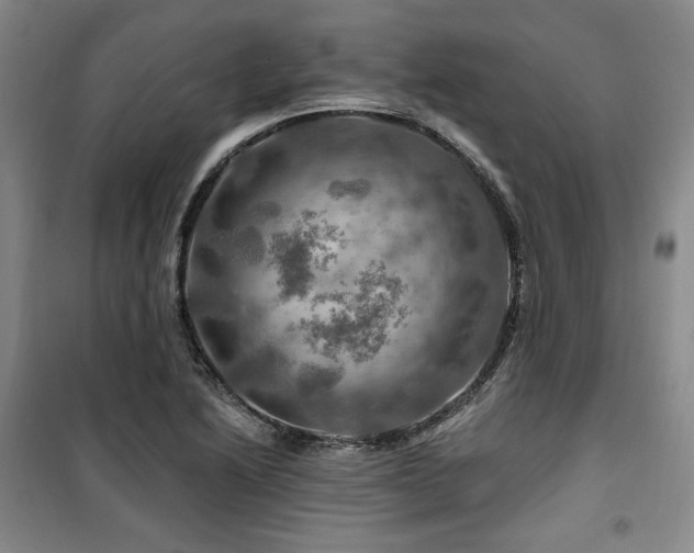 X0000100371222200806061148
