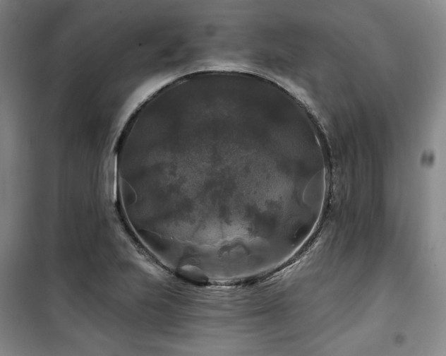 X0000100371223200806061148