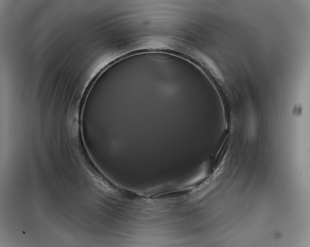 X0000100371226200806061148