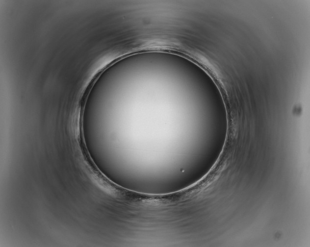 X0000100371227200806061148