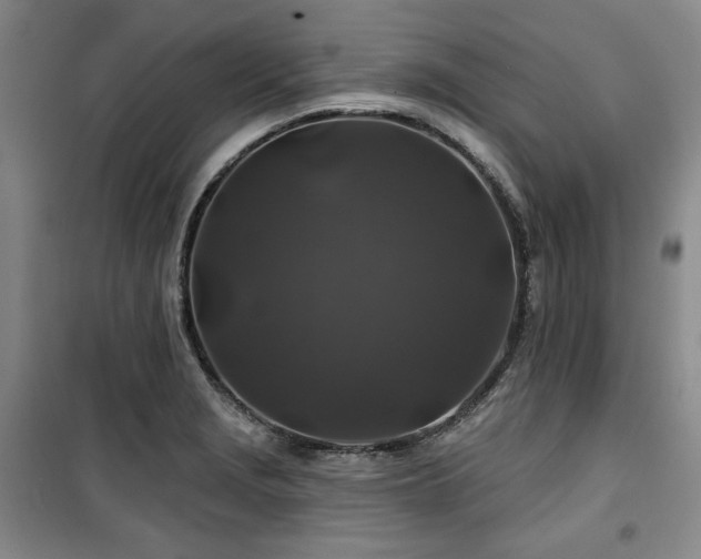 X0000100371229200806061148