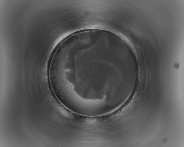 X0000100371230200806061148