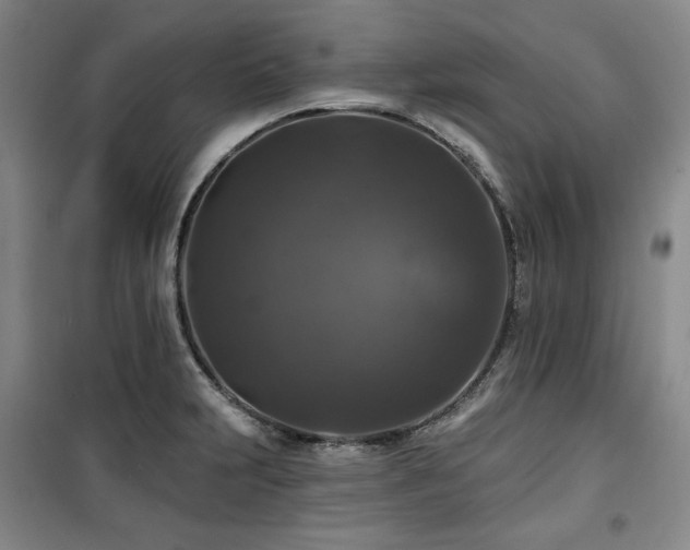 X0000100371231200806061148