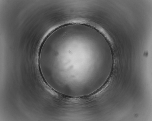 X0000100371232200806061148