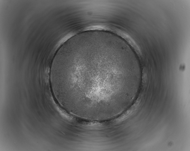 X0000100371233200806061148