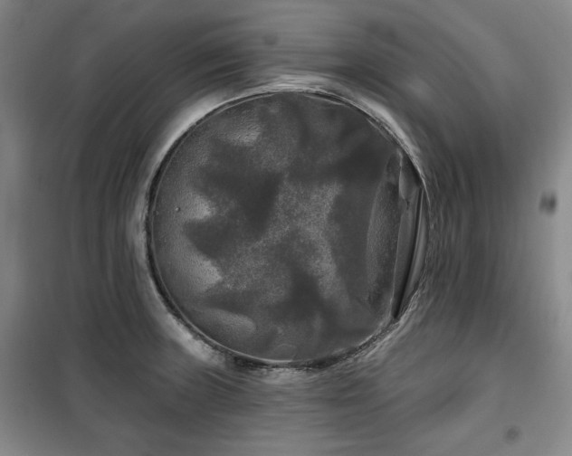 X0000100371235200806061148