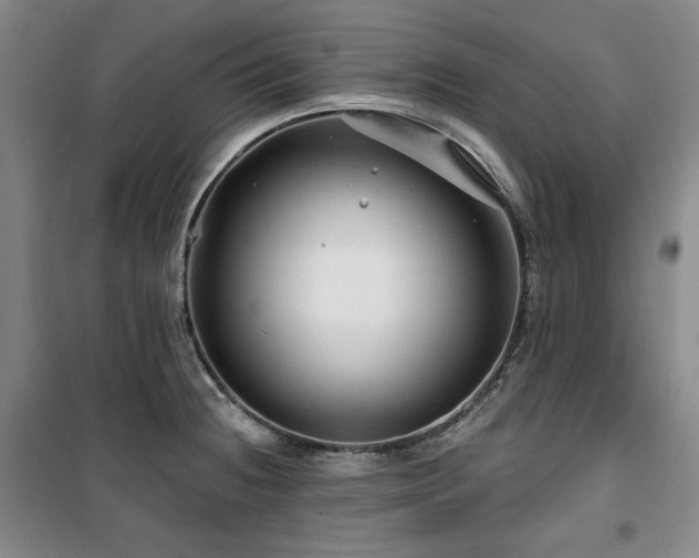 X0000100371236200806061148