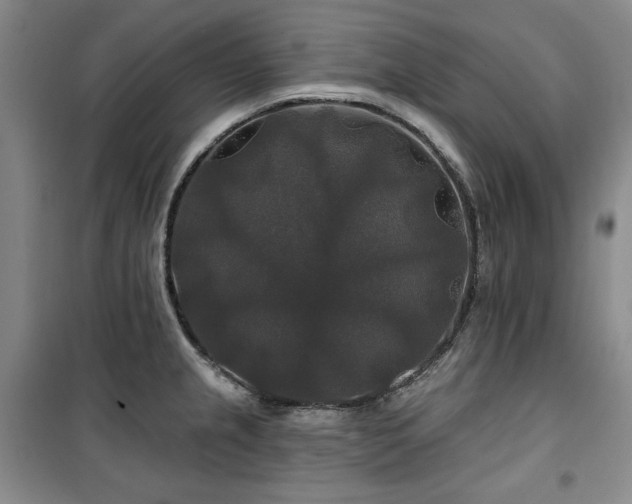X0000100371237200806061148