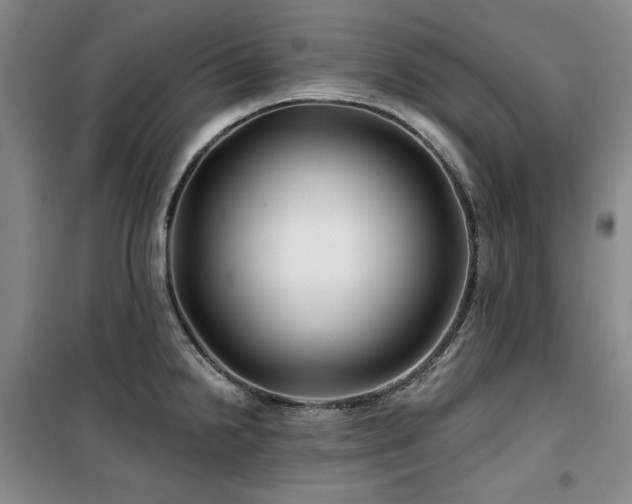 X0000100371238200806061148