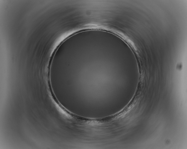 X0000100371239200806061148